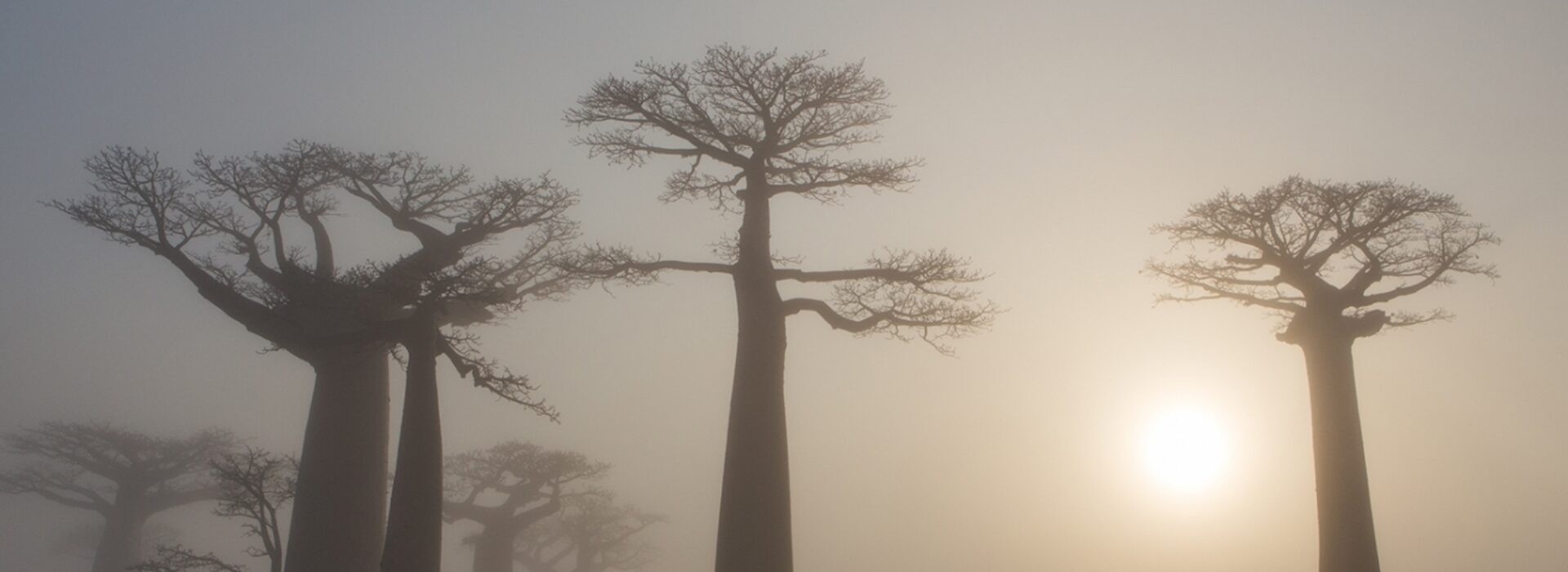 What exactly is an ecosystem and how do you restore one?