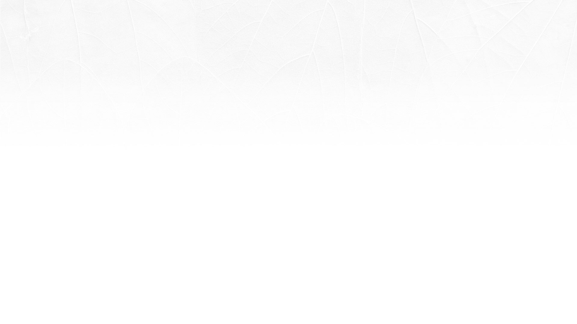 Conozca nuestro equipo.