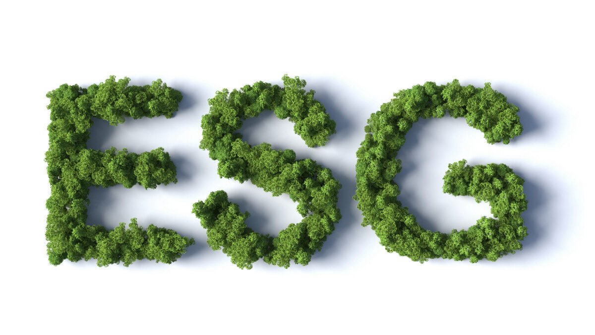 Lo sviluppo responsabile e sostenibile si basa su questi tre pilastri: ambientale, sociale e di governance (ESG).